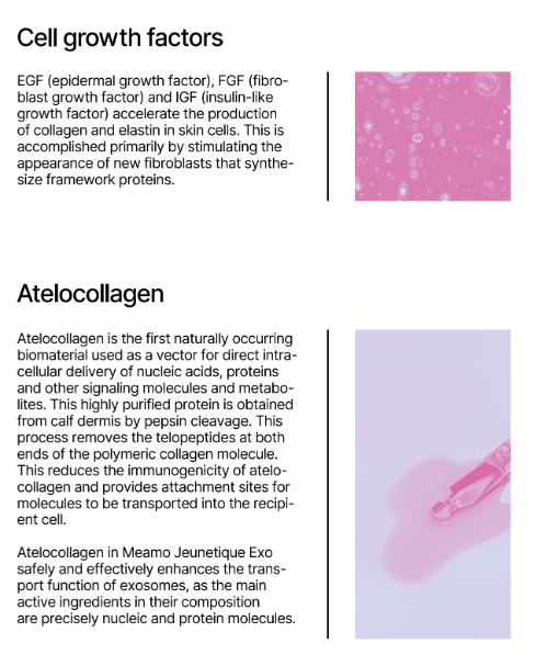 Jeunetique EXO serum with exosome technology and atelocollagen for cell growth and collagen regeneration.