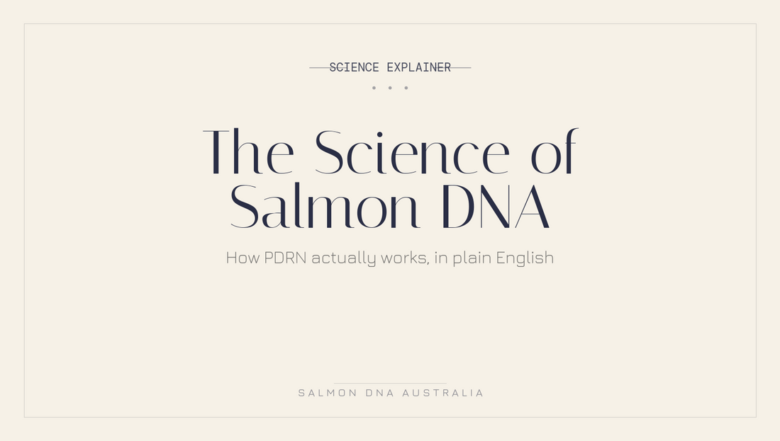 Science explainer showing how salmon DNA and PDRN work for skin cell renewal