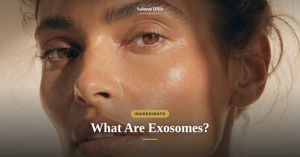 What are exosomes in skincare, Salmon DNA Australia
