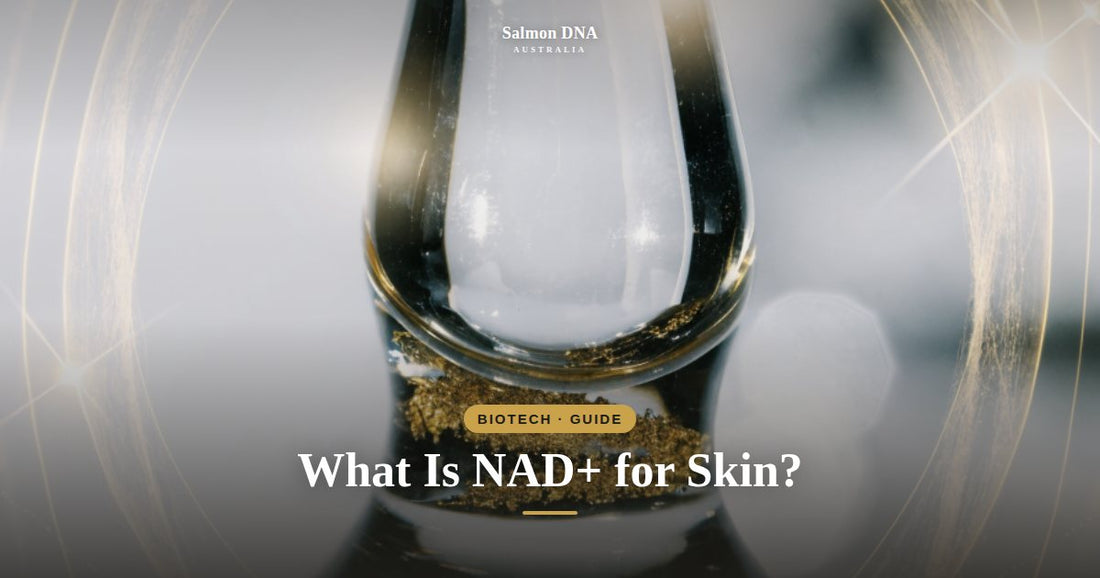 What is NAD plus for skin, a guide to this biotech skincare ingredient