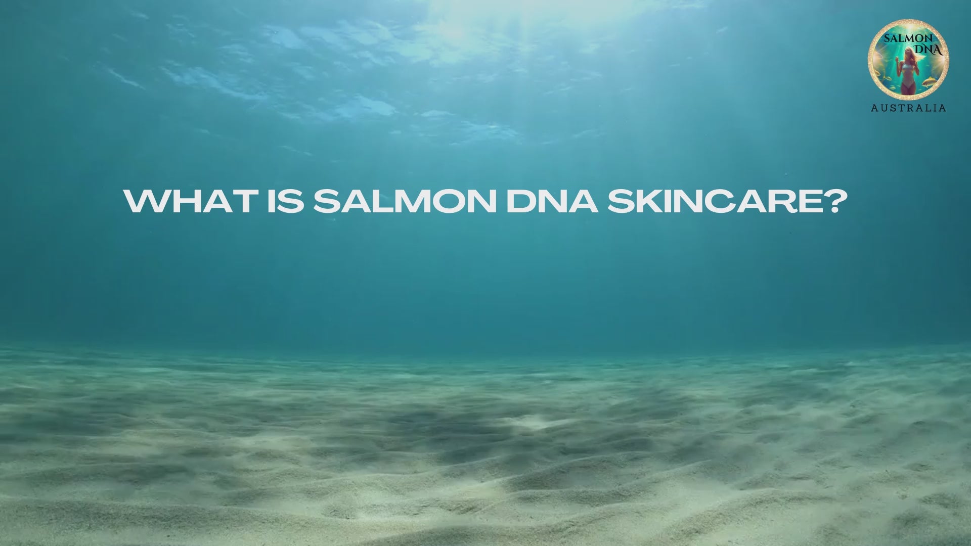 Load video: what is salmon dna?